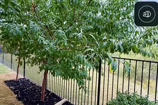 1071 Cabinside Dr, Roanoke, TX 76262 - Photo 36