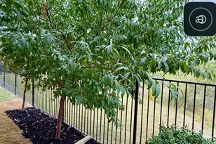 1071 Cabinside Dr, Roanoke, TX 76262 - Photo 8