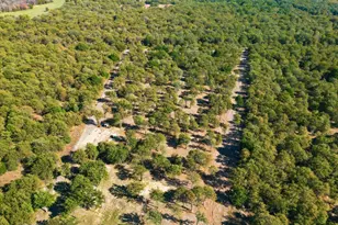 138 Gobbler Rd, Nocona, TX 76255 - Photo 34