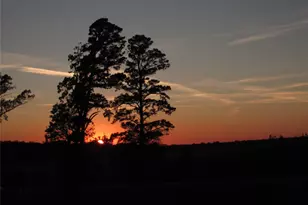 10222 US Hwy 271 N, Gilmer, TX 75644 - Photo 1
