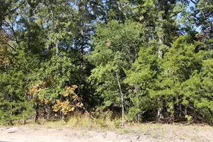 1669 Hideaway Ln, Quinlan, TX 75474 - Photo 16