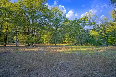 45 Acres County Road 930, Teague, TX 75860 - Photo 2