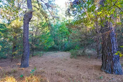 45 Acres County Road 930, Teague, TX 75860 - Photo 10