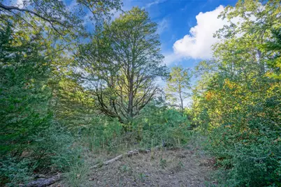 45 Acres County Road 930, Teague, TX 75860 - Photo 12