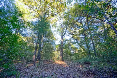 45 Acres County Road 930, Teague, TX 75860 - Photo 6