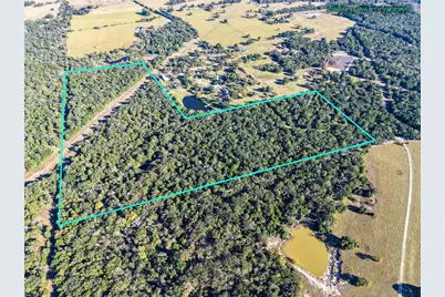 45 Acres County Road 930, Teague, TX 75860 - Photo 16