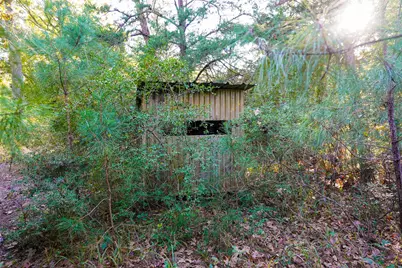 45 Acres County Road 930, Teague, TX 75860 - Photo 20