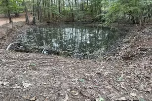 12670 County Rd 168, Flint, TX 75762 - Photo 32