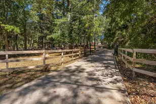 12670 County Rd 168, Flint, TX 75762 - Photo 4