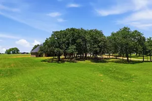 3031 Powell Cemetery Rd, Tolar, TX 76476 - Photo 38