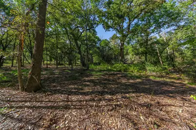 1053 Creek Crossing Road, Nemo, TX 76070 - Photo 4