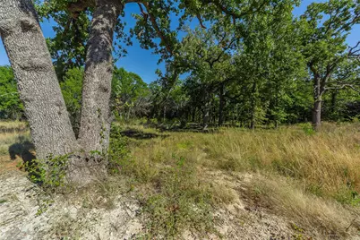 1053 Creek Crossing Road, Nemo, TX 76070 - Photo 18