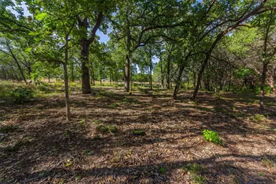 1053 Creek Crossing Road, Nemo, TX 76070 - Photo 6