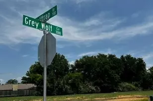 3008 Grey Wolf Circle, Denton, TX 76209 - Photo 4