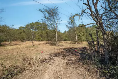 2805 Vz County Road 3507, Wills Point, TX 75169 - Photo 6