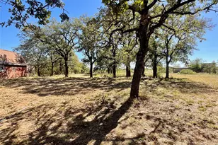 251 Tumbleweed Ct, Millsap, TX 76066 - Photo 6