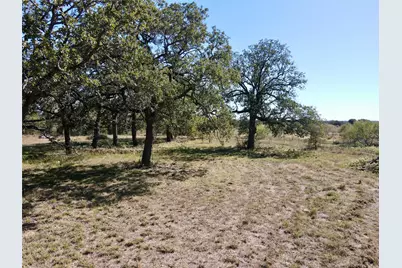 251 Tumbleweed Court, Millsap, TX 76066 - Photo 10