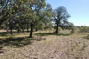 251 Tumbleweed Ct, Millsap, TX 76066 - Photo 10