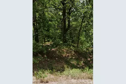 5343 Sam Bass, Log Cabin, TX 75074 - Photo 1