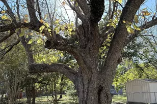 225 College St, Roxton, TX 75477 - Photo 22