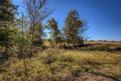 Tbd Tract B County Road 1468, Quitman, TX 75783 - Photo 4