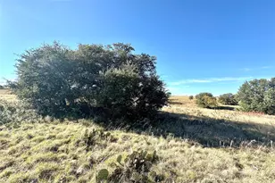 171 Co Rd 306, Goldthwaite, TX 76844 - Photo 6