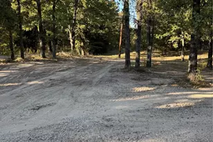 6171 Glen Oaks Rd, Mabank, TX 75156 - Photo 8