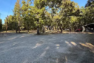 6171 Glen Oaks Rd, Mabank, TX 75156 - Photo 2