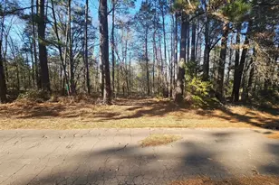 152 Co Rd 4247, Pittsburg, TX 75686 - Photo 1