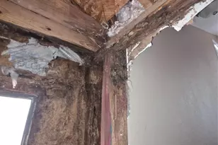 55 Birch St, Trinity, TX 75862 - Photo 14