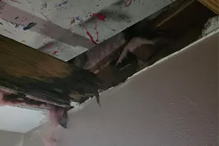 55 Birch St, Trinity, TX 75862 - Photo 8