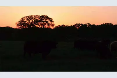 25+ Ac. Lcr 102 Road, Axtell, TX 76673 - Photo 38