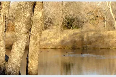 58+ Ac. Cr 102 Road, Axtell, TX 76673 - Photo 34