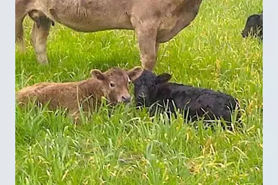 58+ Ac. Cr 102 Road, Axtell, TX 76673 - Photo 32