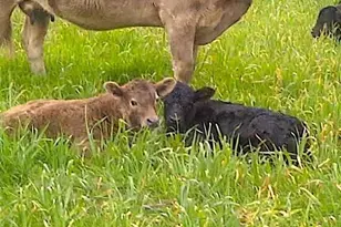 58+ Ac Cr 102 Rd, Axtell, TX 76673 - Photo 32