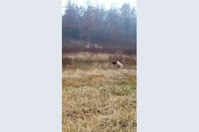 58+ Ac. Cr 102 Road, Axtell, TX 76673 - Photo 36