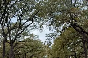 1903 Dogwood Dr, Arlington, TX 76012 - Photo 14