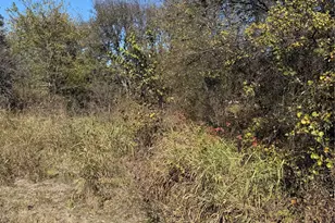 0000 Ridge Crest, Lone Oak, TX 75453 - Photo 6