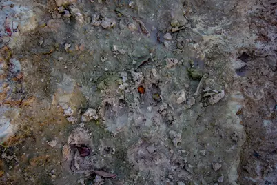 Tbd E. Hackley, Perrin, TX 76486 - Photo 26