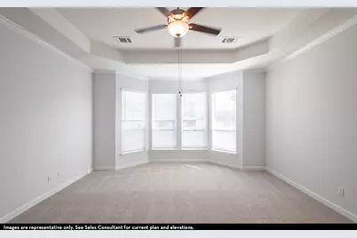 16729 Freshwater Drive, Celina, TX 75009 - Photo 14