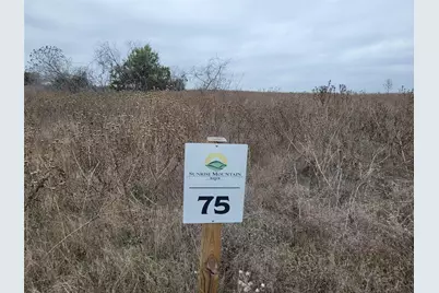 Tbd Adobe Hill Drive #Lots 75 & 76, Stephenville, TX 76401 - Photo 4