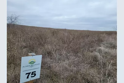 Tbd Adobe Hill Drive #Lots 75 & 76, Stephenville, TX 76401 - Photo 6