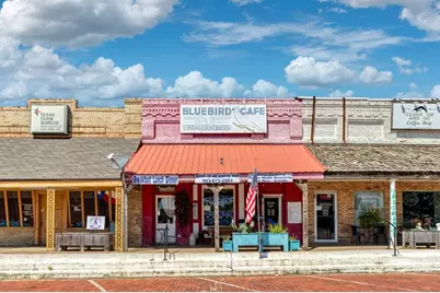 124 W North Commerce Street, Wills Point, TX 75169 - Photo 1