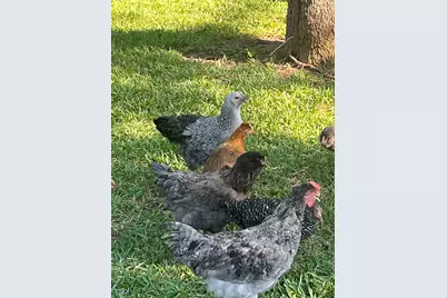 Tbd #16 Out Of 13345 Briar Road, Azle, TX 76020 - Photo 8