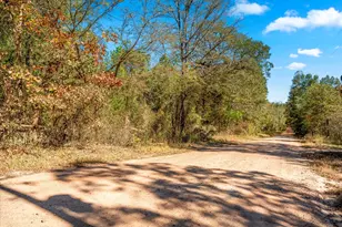 170 Pr 52423, Leesburg, TX 75451 - Photo 12