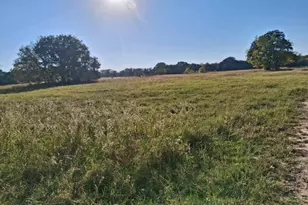 1071 Co Rd 2205, Ivanhoe, TX 75447 - Photo 1