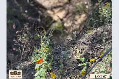 Lot 67 Camden Lane, Springtown, TX 76082 - Photo 20