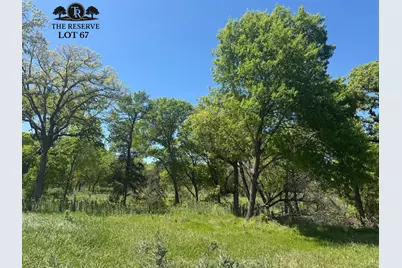 Lot 67 Camden Lane, Springtown, TX 76082 - Photo 2
