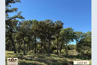 Lot 67 Camden Lane, Springtown, TX 76082 - Photo 4