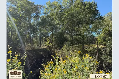 Lot 67 Camden Lane, Springtown, TX 76082 - Photo 14